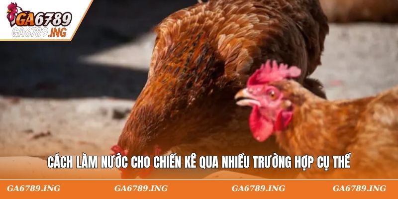 Cách làm nước cho ga chọi qua nhiều trường hợp cụ thể