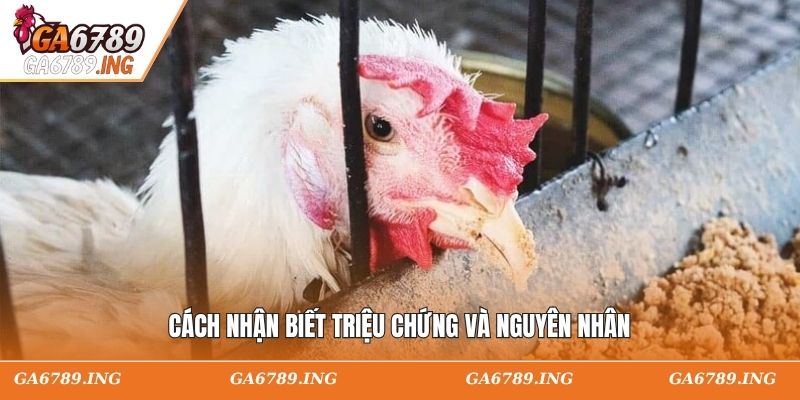 Cách nhận biết triệu chứng và nguyên nhân
