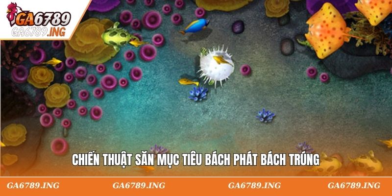 Chiến thuật săn mục tiêu bách phát bách trúng
