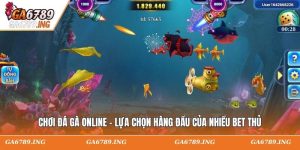 Chơi Đá Gà Online - Lựa Chọn Hàng Đầu Của Nhiều Bet Thủ