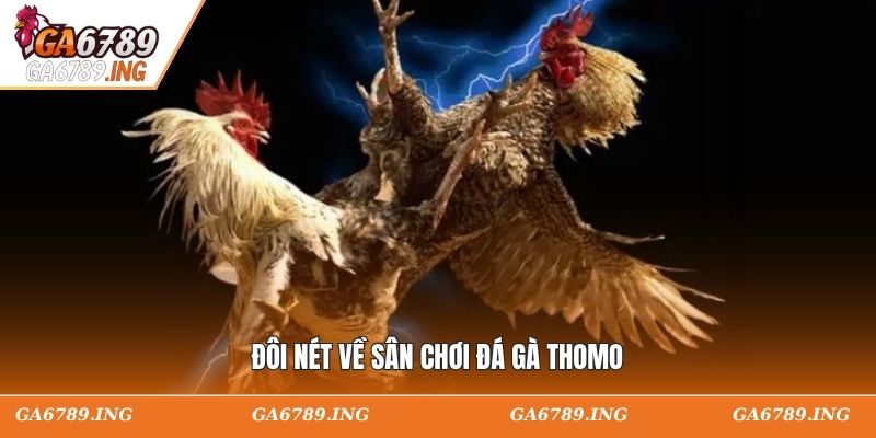 Giới thiệu sơ lược về đá gà Thomo