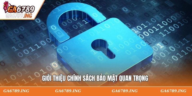 Giới thiệu chính sách bảo mật quan trọng