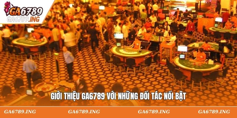 Giới thiệu GA6789 với những đối tác nổi bật