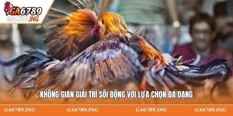 Không gian giải trí sôi động với lựa chọn đa dạng