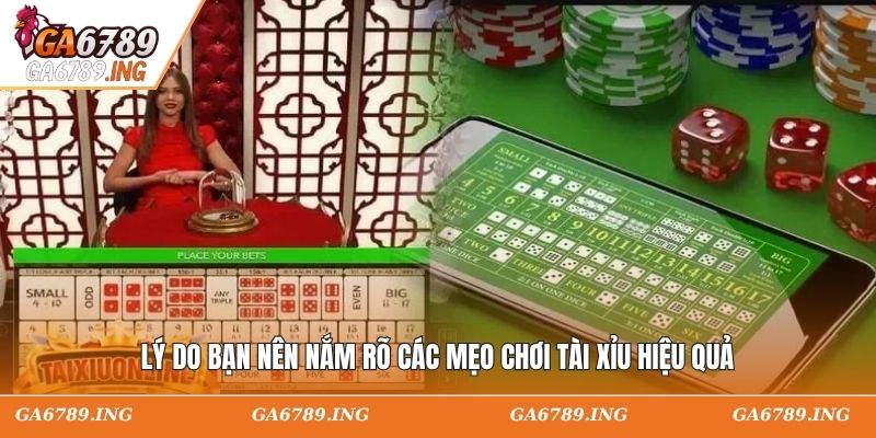 Lý do bạn nên nắm rõ các mẹo chơi tài xỉu hiệu quả