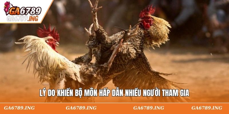 Lý do khiến bộ môn hấp dẫn nhiều người tham gia