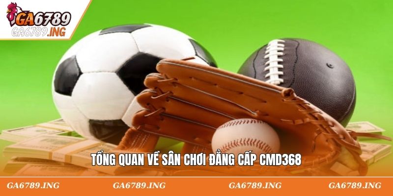 Tổng quan về sân chơi đẳng cấp CMD368